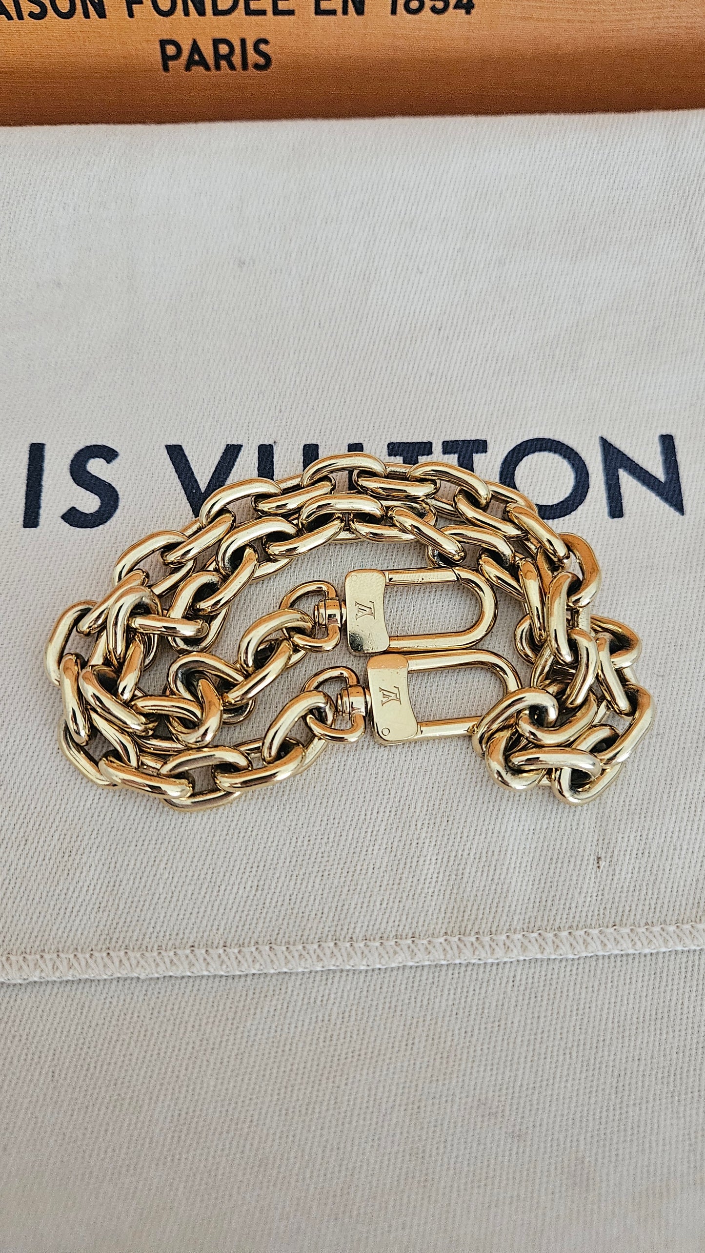 LOUIS VUITTON IVY