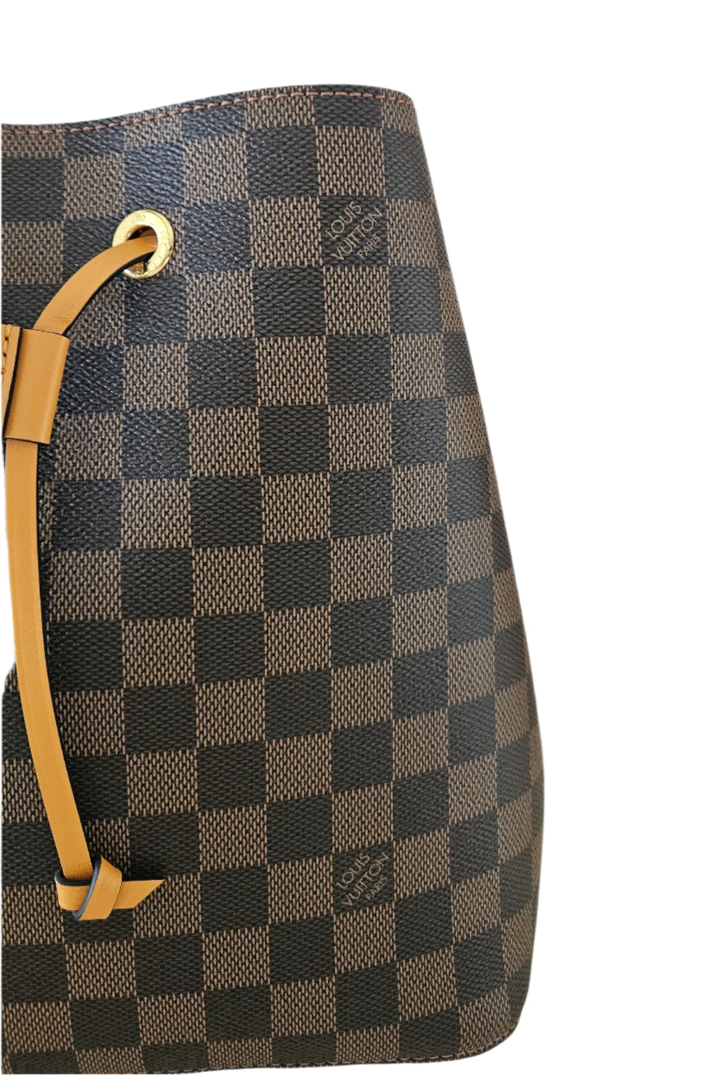 NEO NOE DAMIER EBEN CANVAS