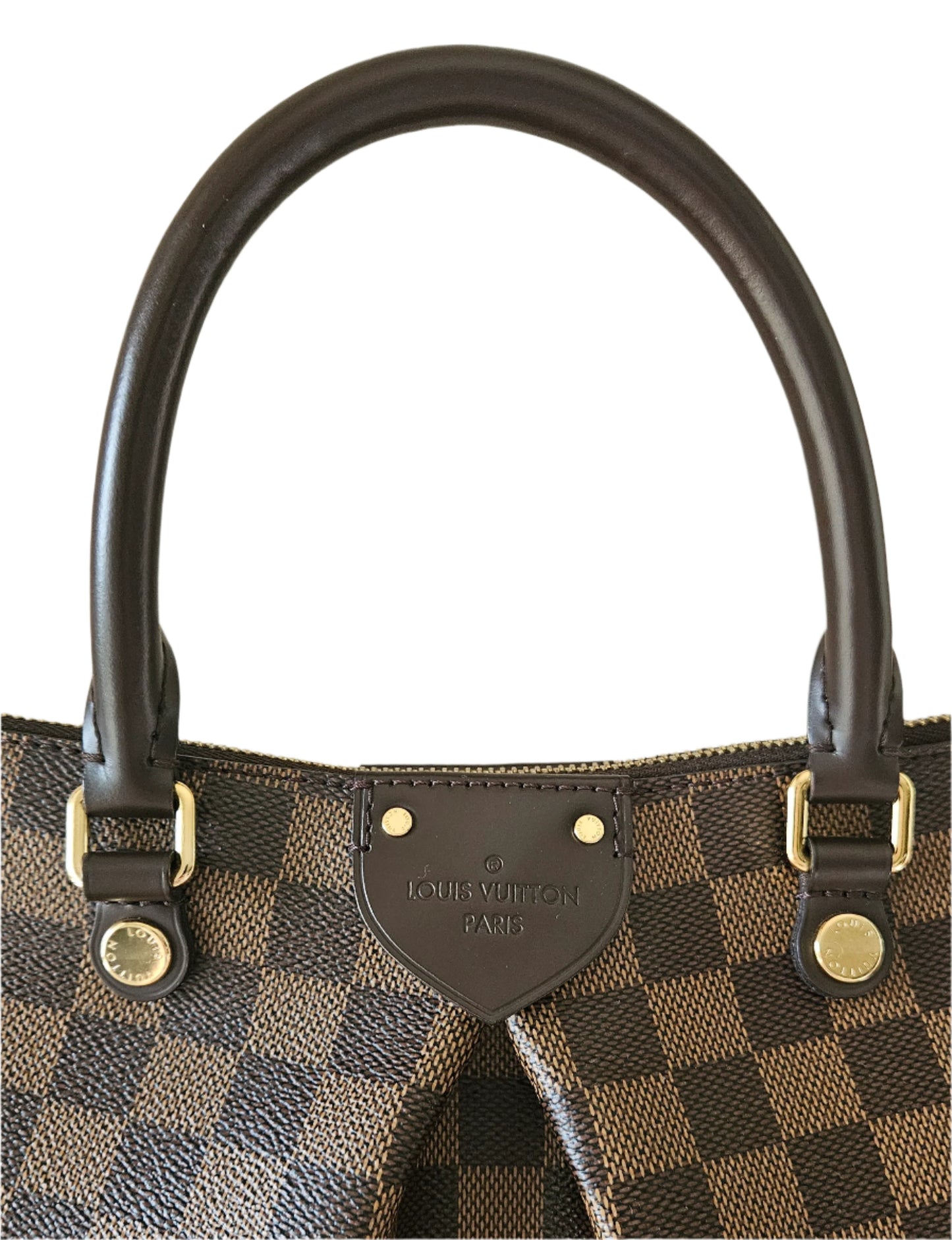 SIENA PM DAMIER EBEN CANVAS