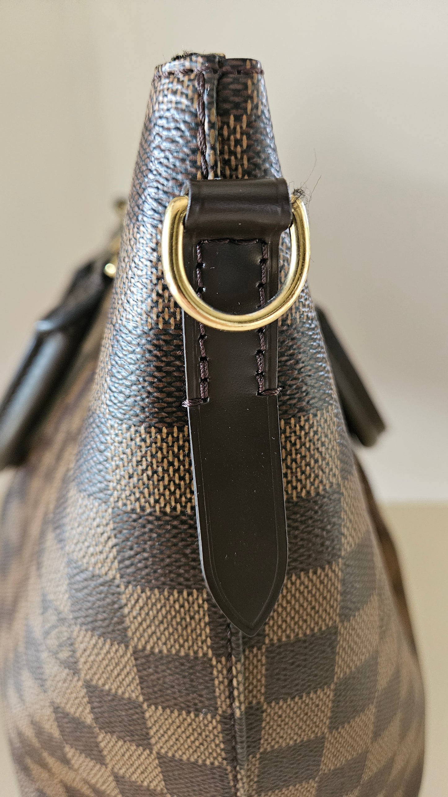 SIENA PM DAMIER EBEN CANVAS