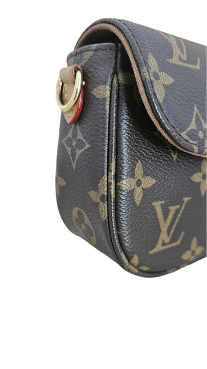 LOUIS VUITTON IVY